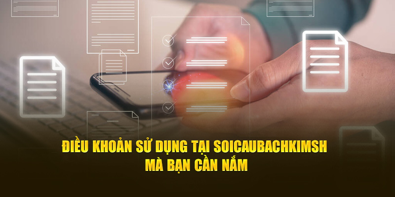 Điều khoản sử dụng tại Soicaubachkim mà bạn cần nắm