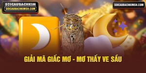 Giải mã giấc mơ - mơ thấy ve sầu