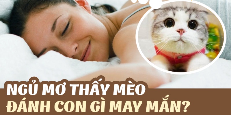 Đánh ngay số gì khi mơ thấy con “Mão”