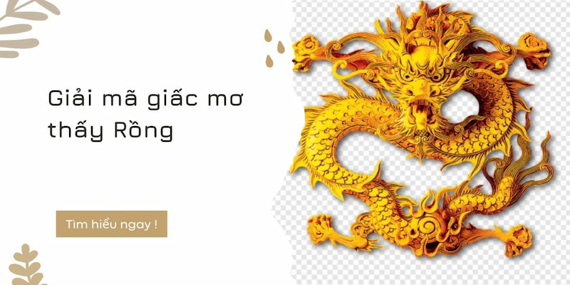 Giải mã giấc mơ thấy rồng để biết những ý nghĩa có liên quan đến nó