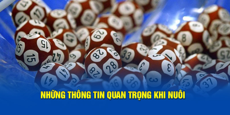 Những thông tin quan trọng khi nuôi tại trang web