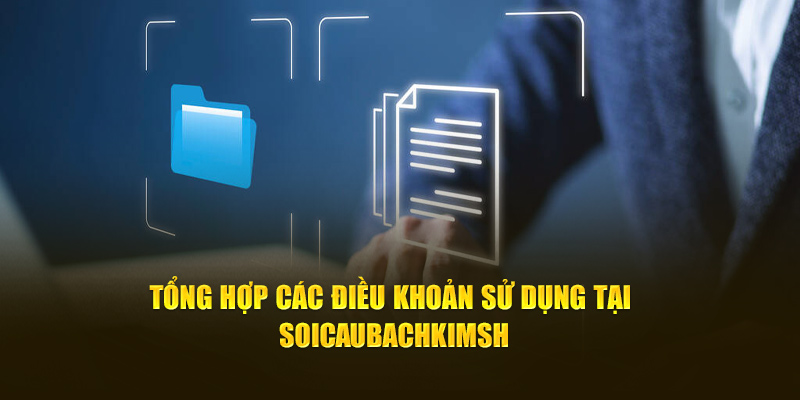 Tổng hợp các điều khoản sử dụng tại Soicaubachkim