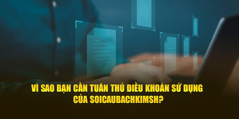 Vì sao bạn cần tuân thủ điều khoản sử dụng của Soicaubachkim?